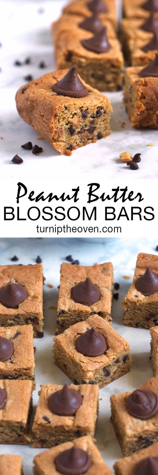 Chunky Chocolate Peanut Butter Blossom Bars