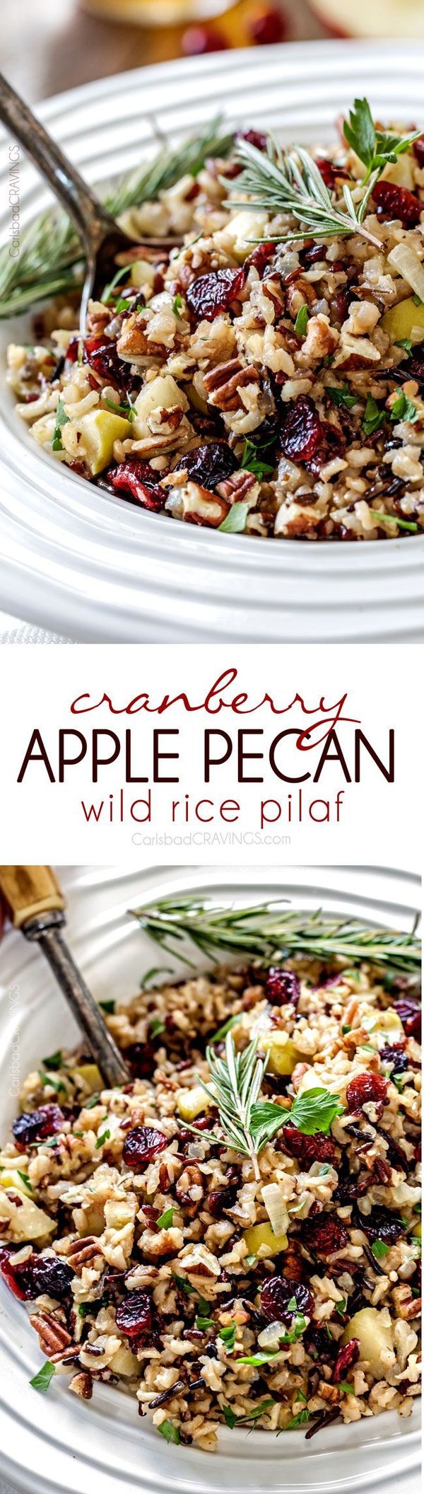 Cranberry Apple Pecan Wild Rice Pilaf