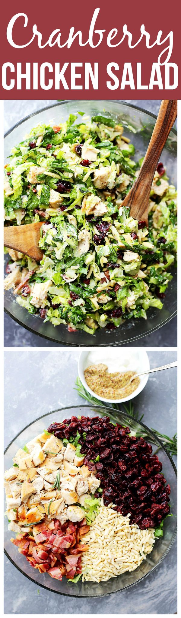 Cranberry Chicken Salad with Light Dijon Parmesan Dressing