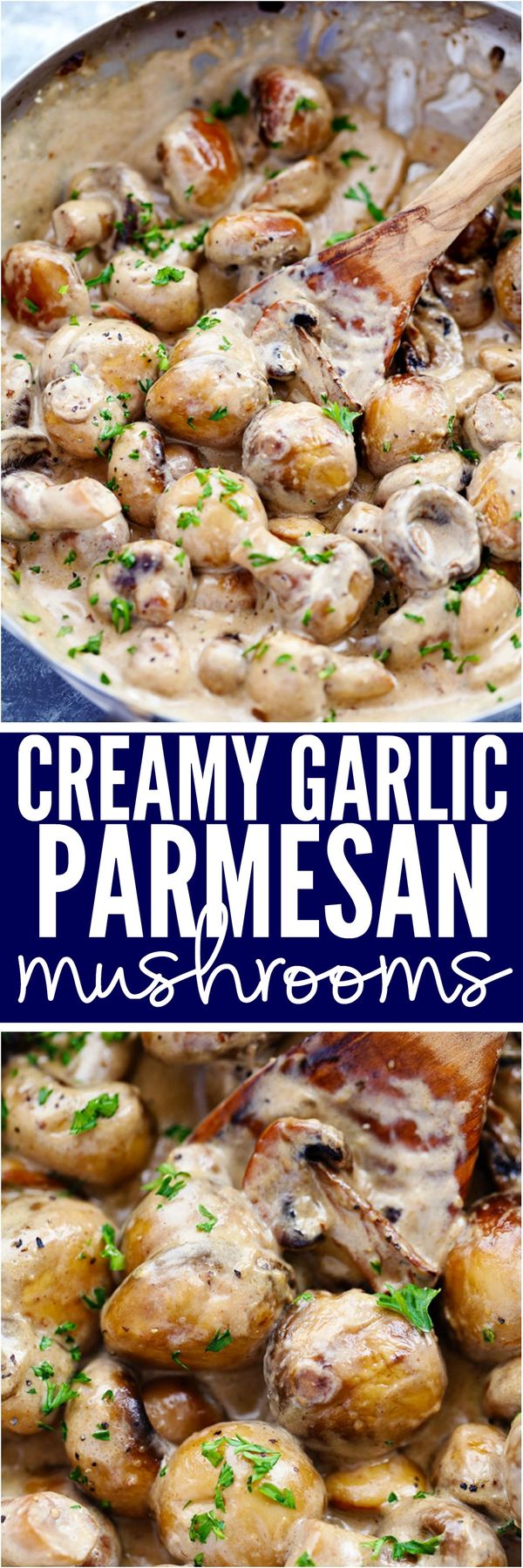 Creamy Garlic Parmesan Mushrooms