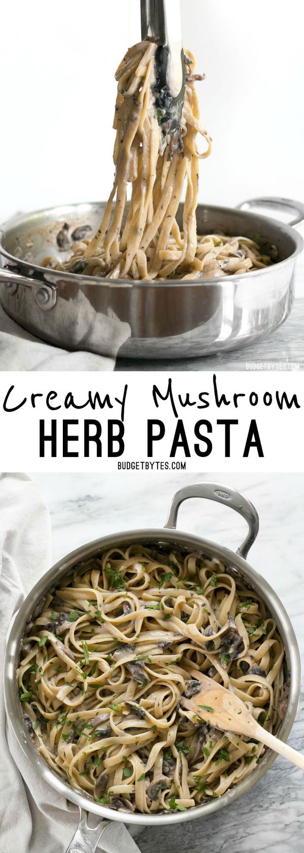 Creamy Mushroom Herb Pasta