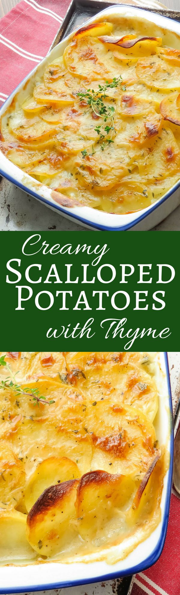 Creamy scalloped potatoes with thyme