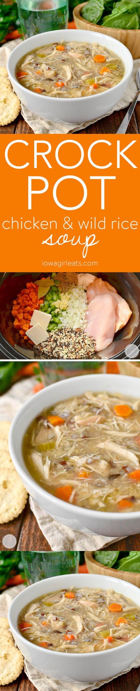 Crock Pot Chicken and Wild Rice Soup