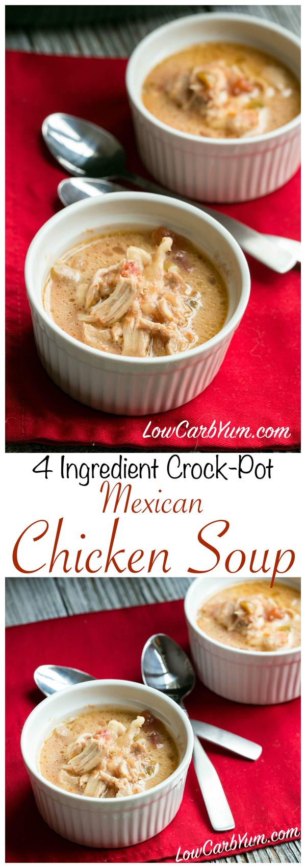 Crock Pot Mexican Chicken Soup