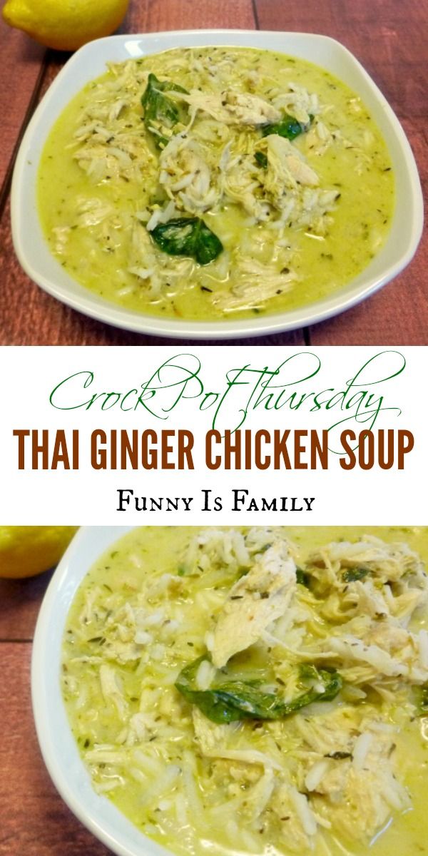 Crock Pot Thai Ginger Chicken Soup