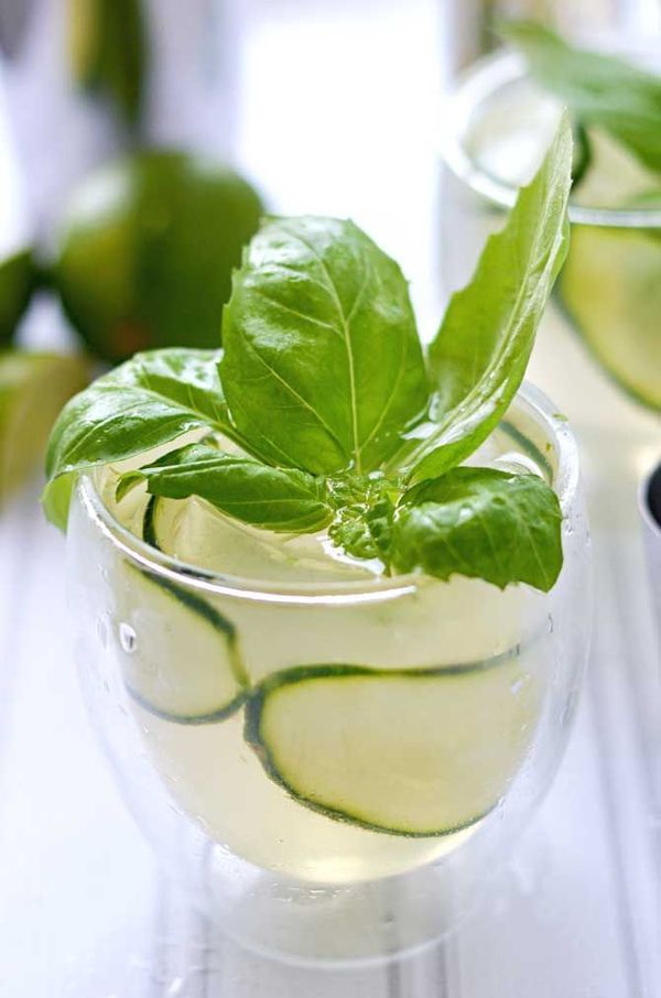 Cucumber Basil Gin and Tonic