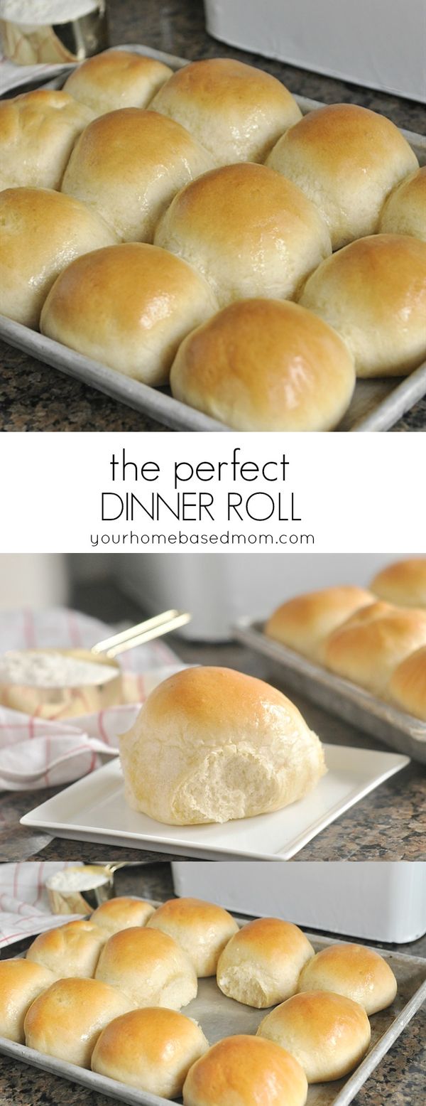 Dinner Rolls