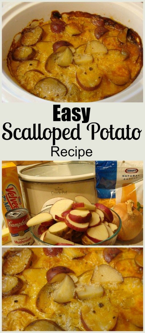 Easy Scalloped Potato