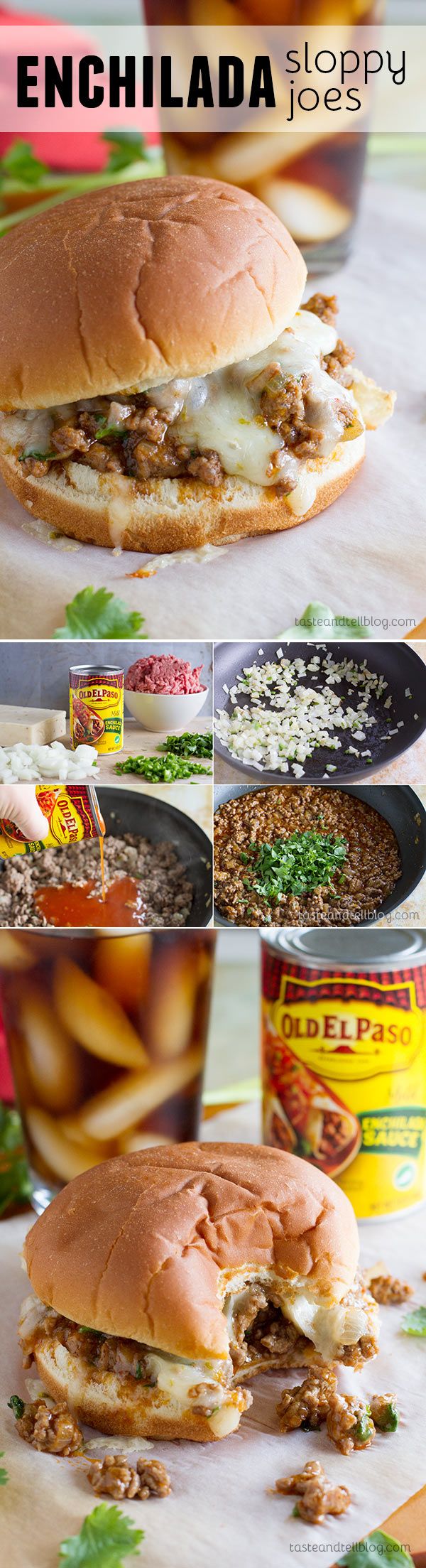 Enchilada Sloppy Joe