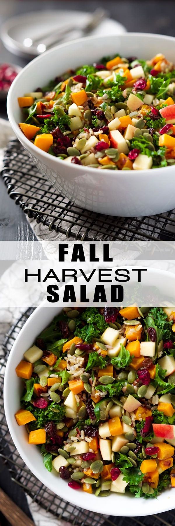 Fall Harvest Salad with Apple Cider Vinaigrette