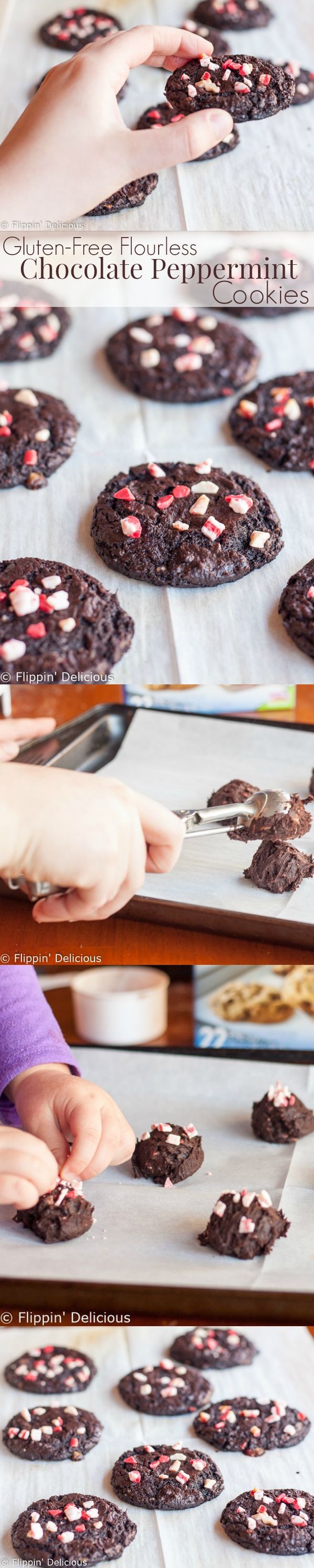 Flourless Chocolate Peppermint Cookies