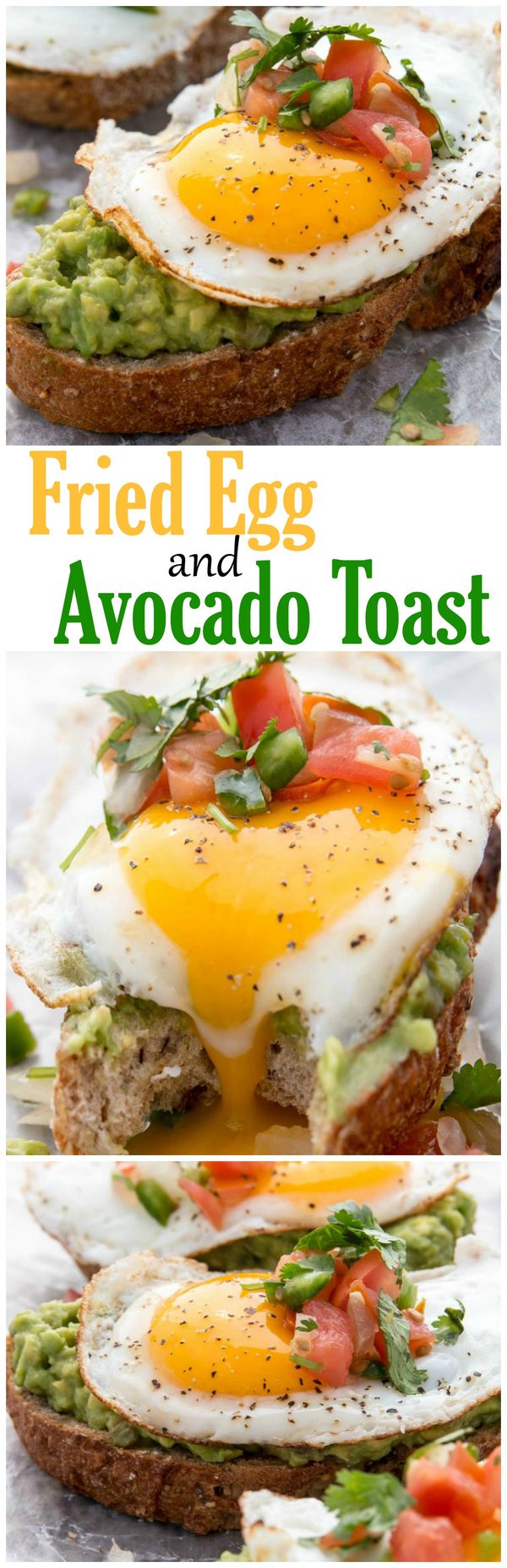 Fried Egg and Avocado Toast