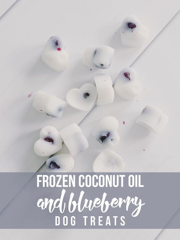 Frozen Coconut Oil and Blueberry Dog Treats