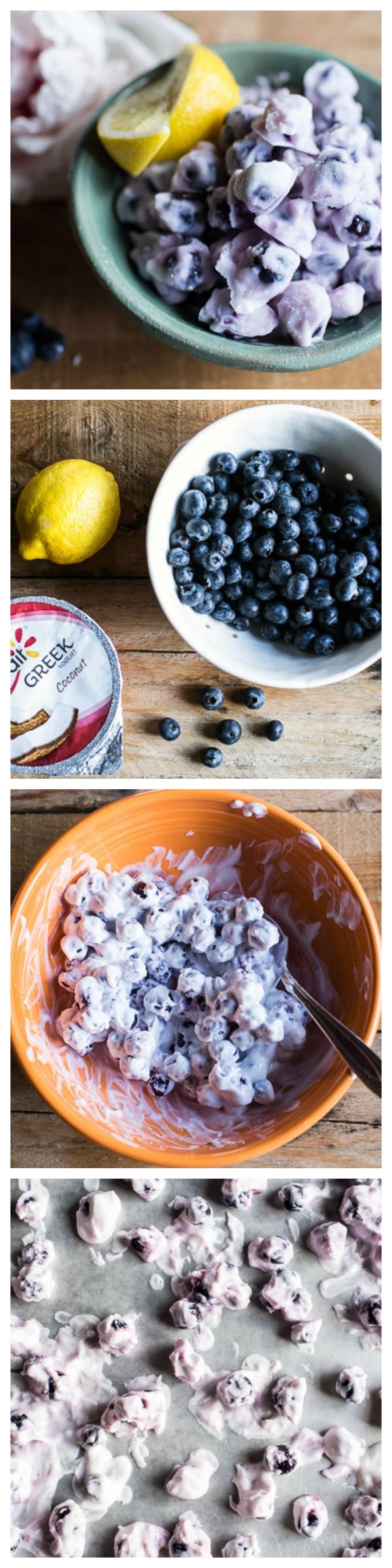 Frozen Yogurt Covered Blueberries