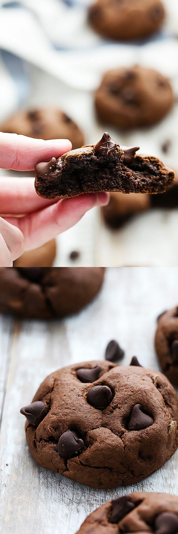 Fudgy Double Chocolate Cookies