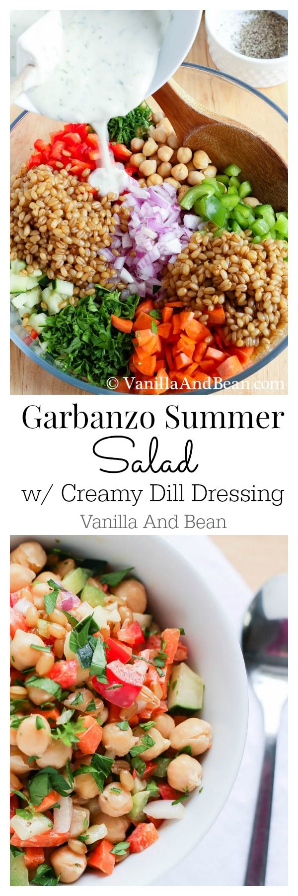 Garbanzo Summer Salad with Creamy Dill Dressing