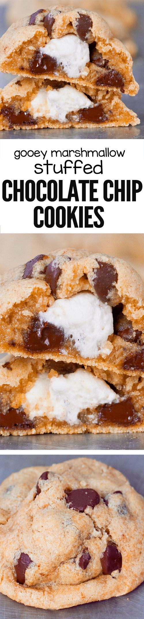 Gooey Chocolate Chip Marshmallow Cookies