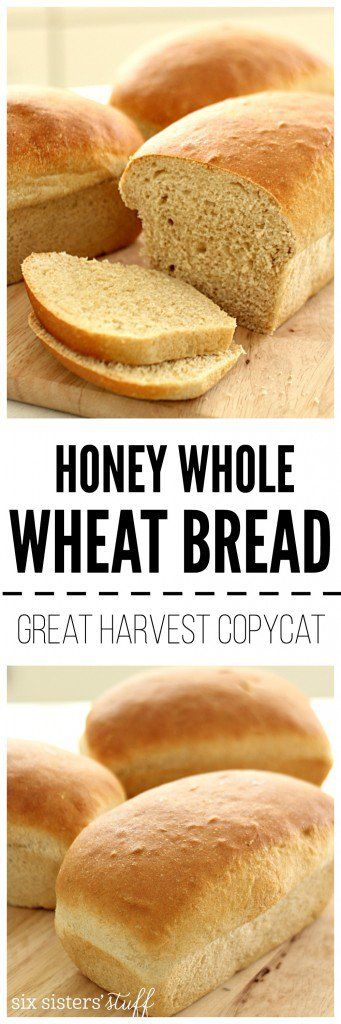 Great Harvest Honey Whole Wheat Bread Copycat