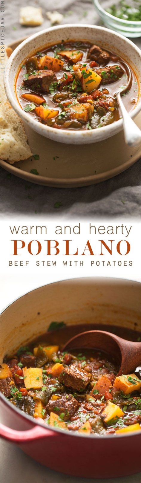 Hearty Poblano Beef Stew