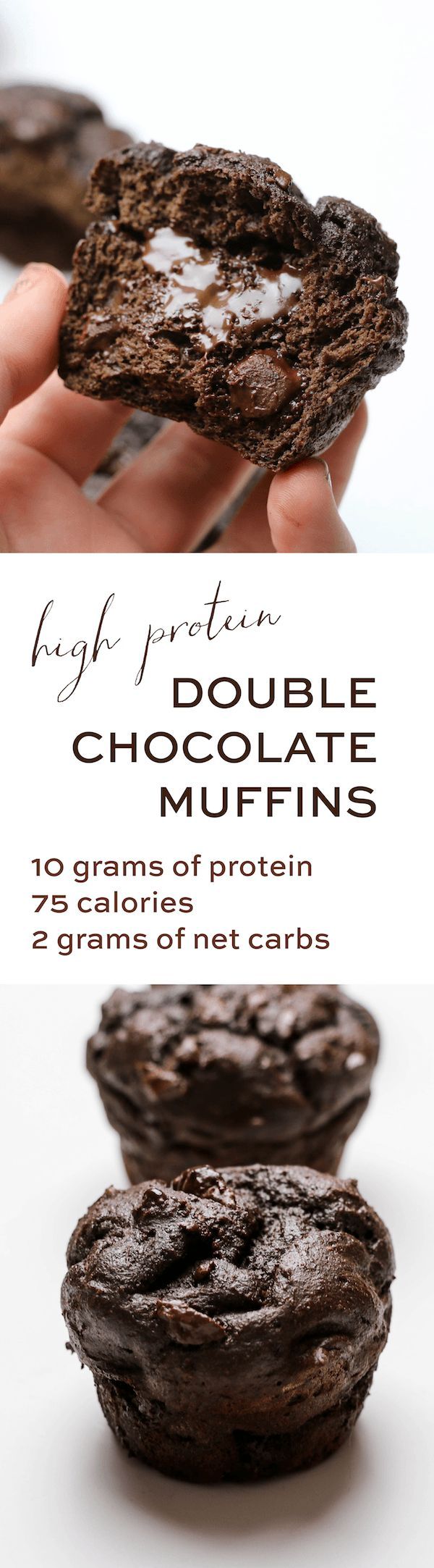 High Protein Double Chocolate Muffins