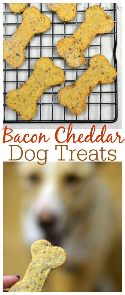 Homemade Bacon Cheddar Dog Treats