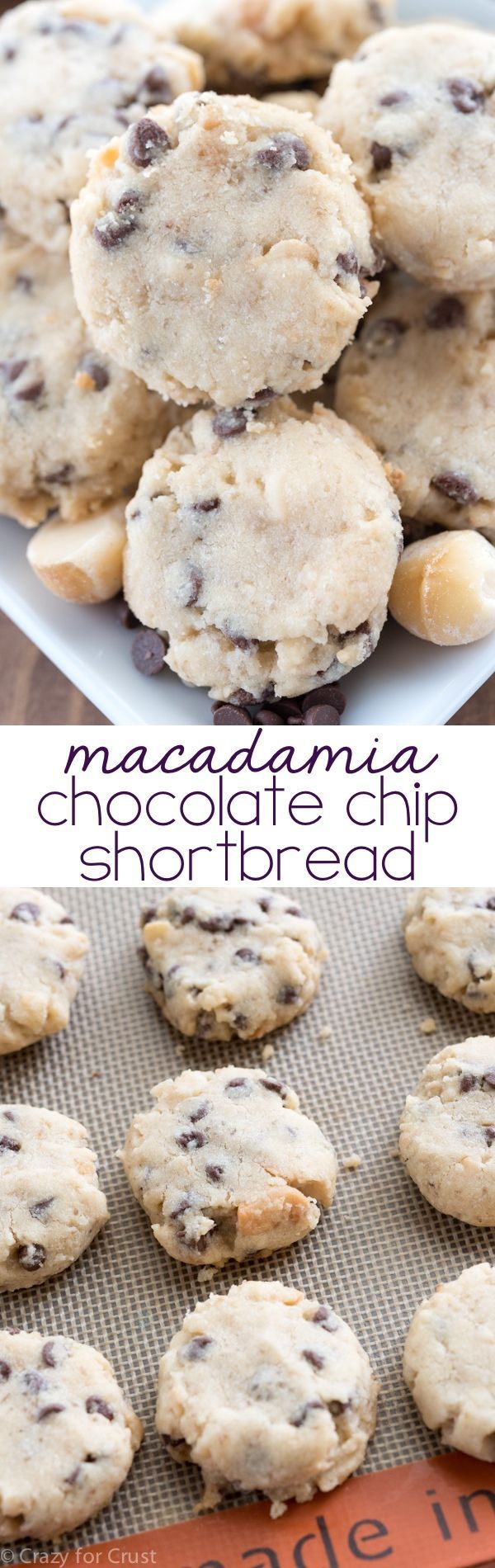 Macadamia Chocolate Chip Shortbread Cookies