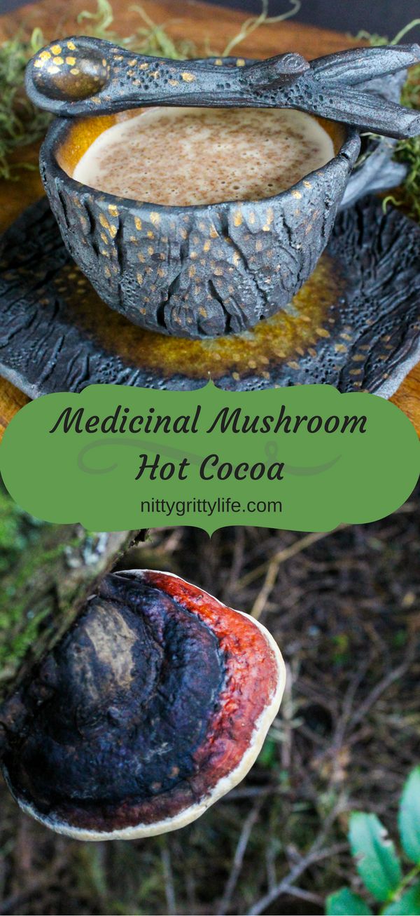 Medicinal Mushroom Hot Cocoa with Red Belted Polypore