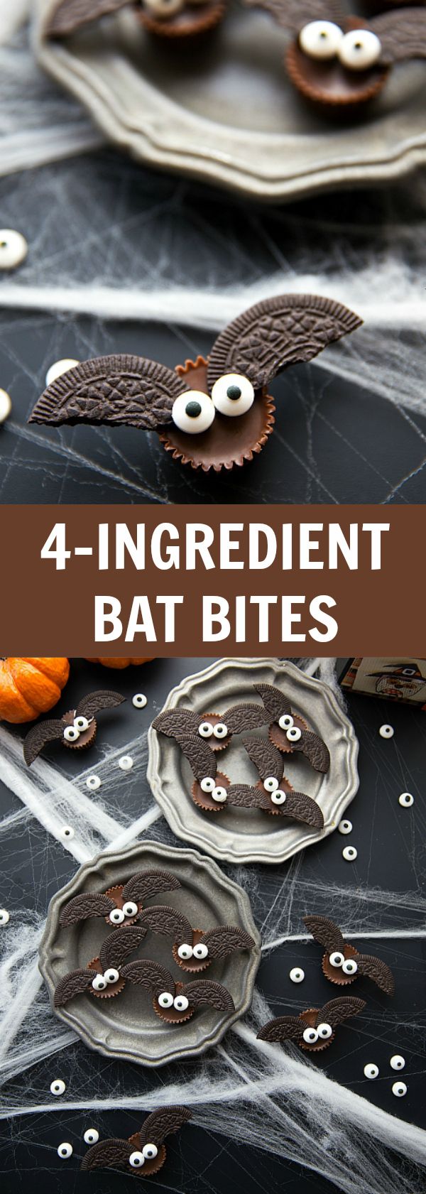 Mini Chocolate Bat Bites