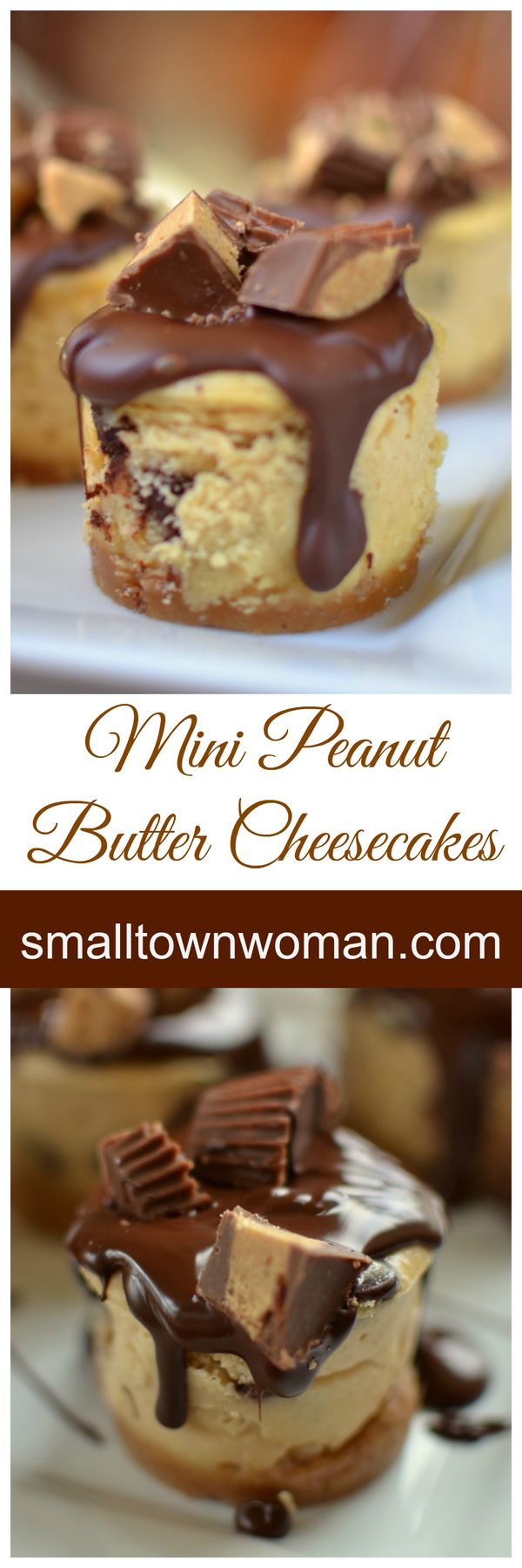 Mini Peanut Butter Cheesecakes