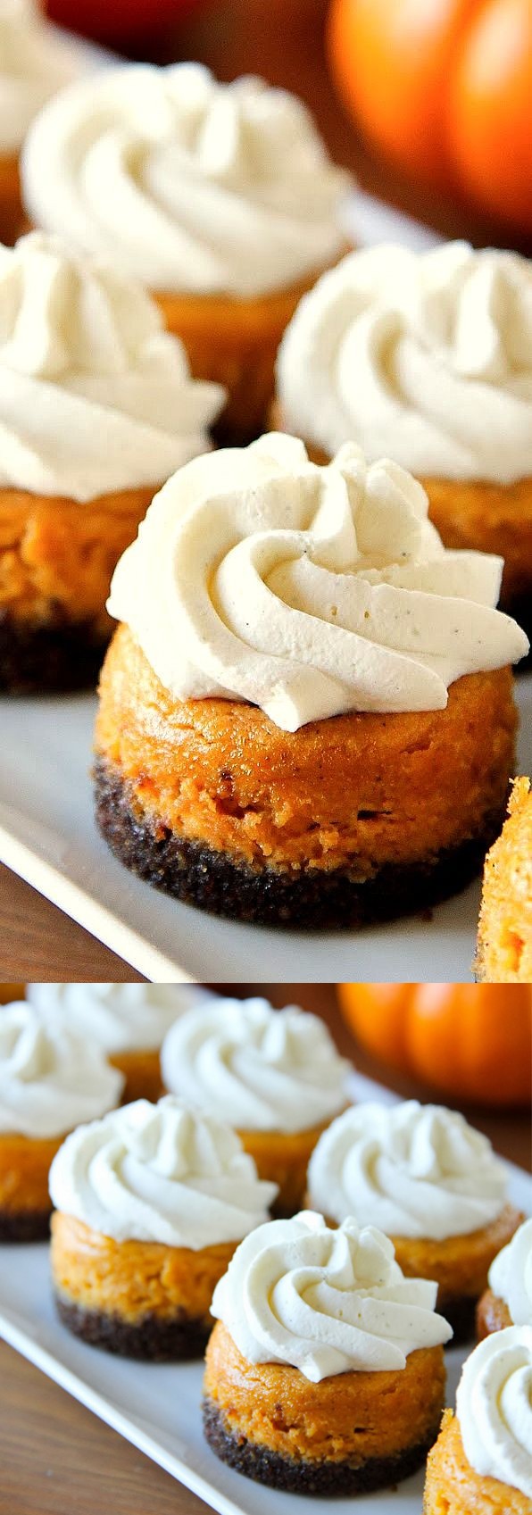 Mini Pumpkin Cheesecakes with Gingersnap Crusts