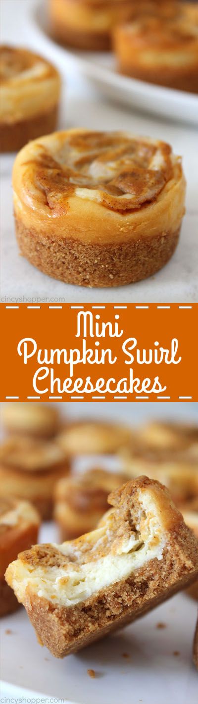 Mini Pumpkin Swirl Cheesecakes