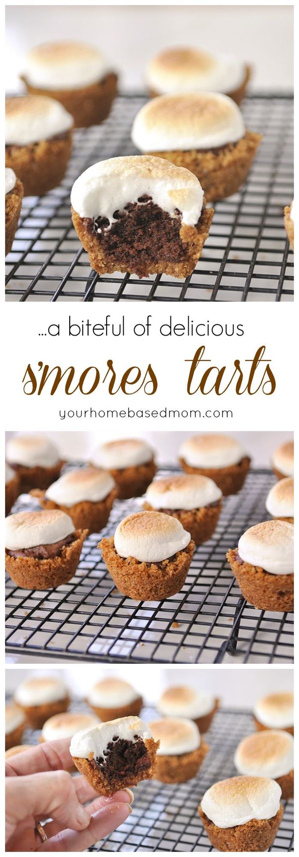 Mini S'mores Tarts