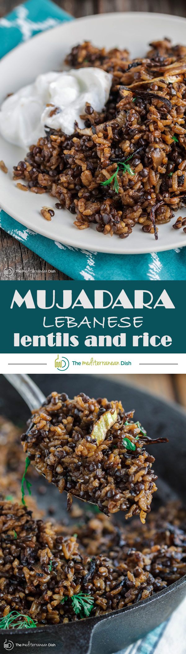 Mujadara: Lentils and Rice with Crispy Onions