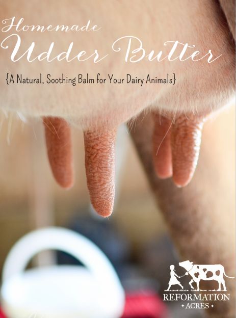 Natural Homemade Udder Butter