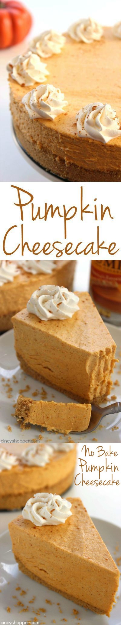 No Bake Pumpkin Cheesecake