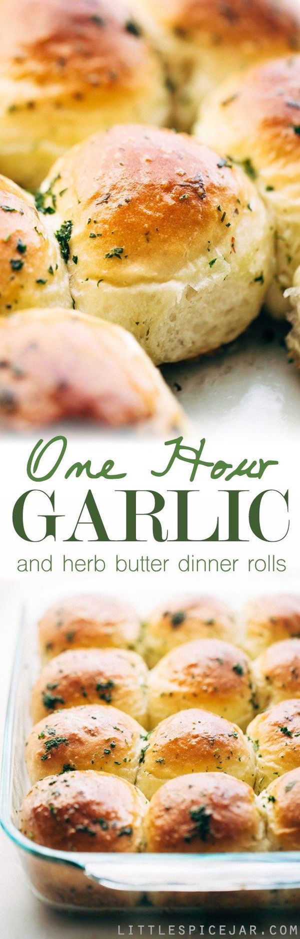 One Hour Garlic Herb Dinner Rolls