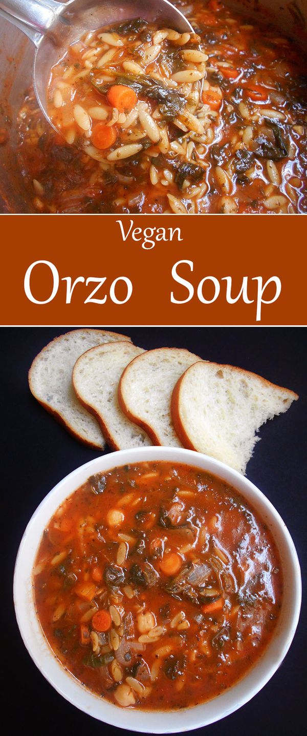 Orzo Soup Recipe (Vegan