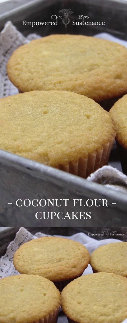 Paleo Coconut Flour Cupcakes