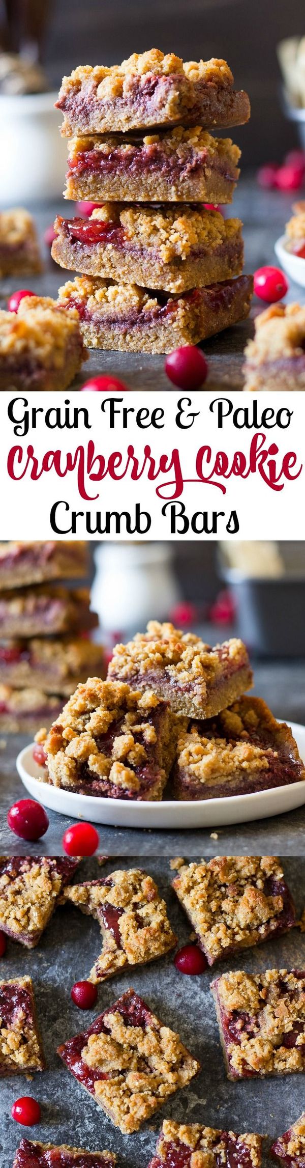 Paleo Cookie Crumb Cranberry Bars