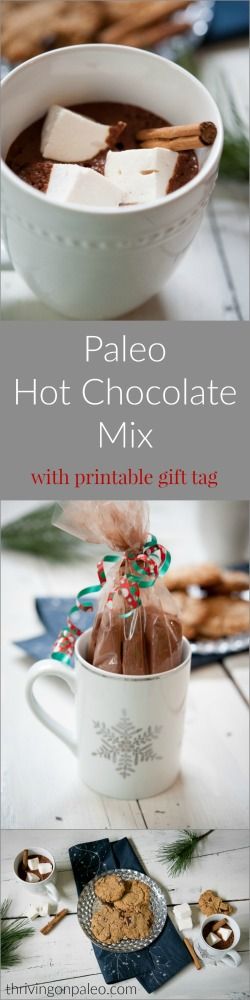 Paleo Pre-Made Hot Chocolate Mix