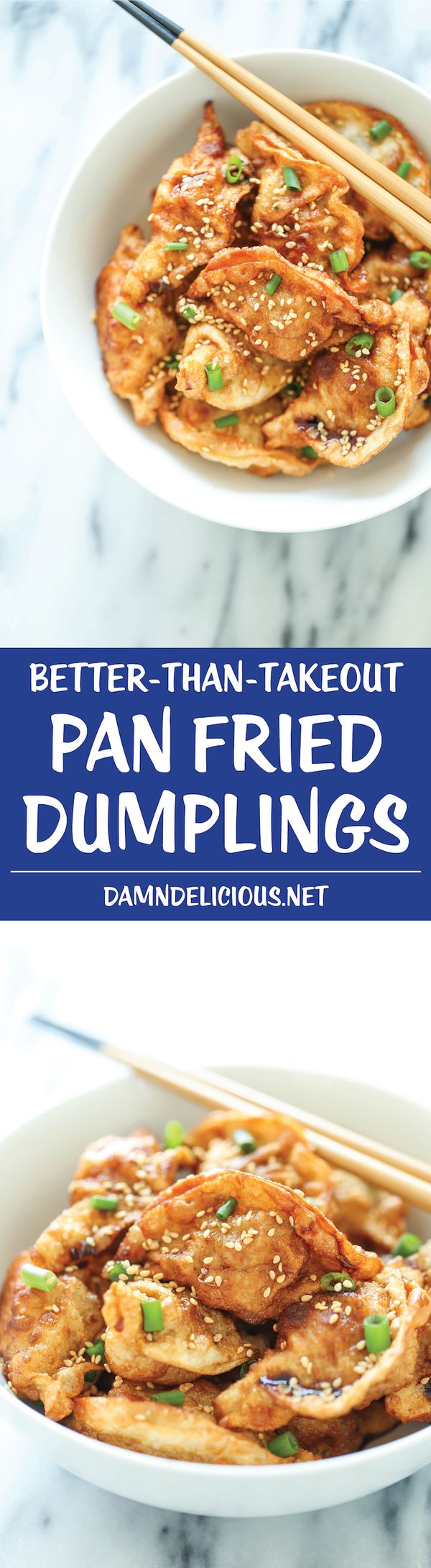 Pan Fried Dumplings