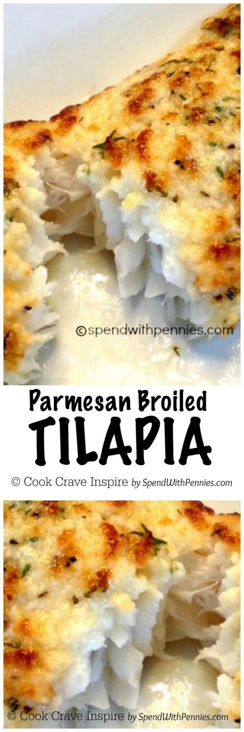 Parmesan Broiled Tilapia