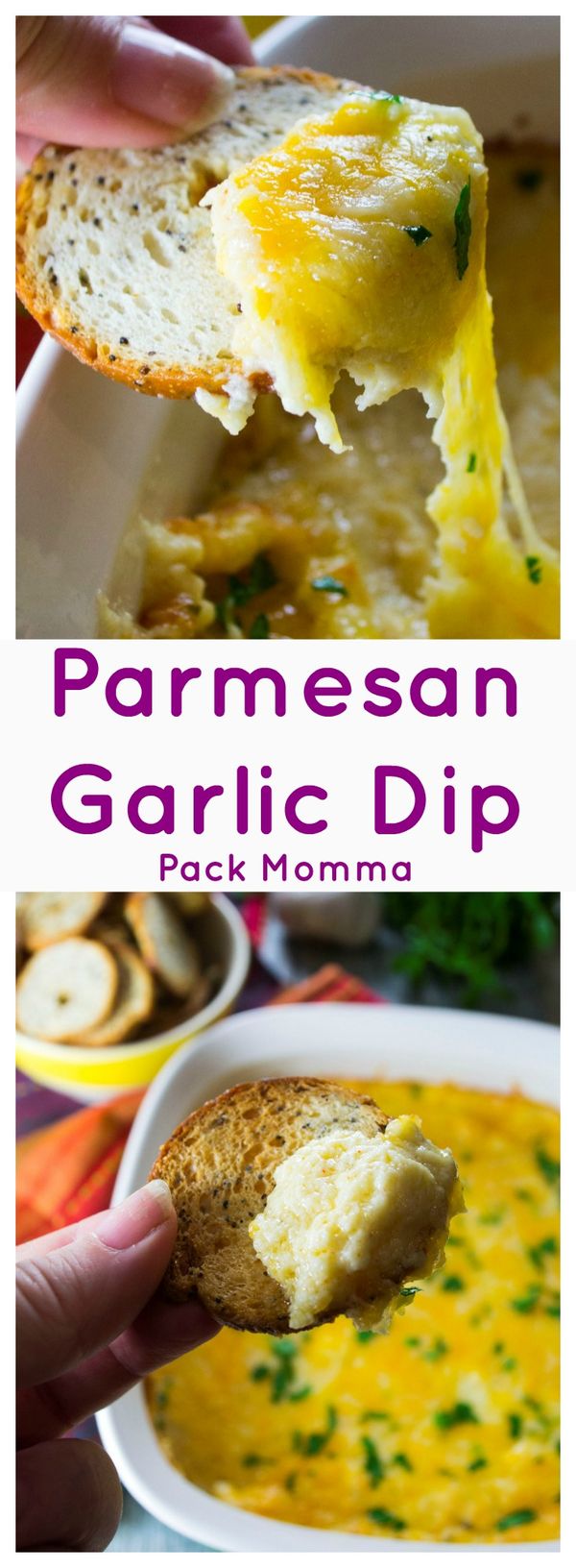 Parmesan Garlic Dip