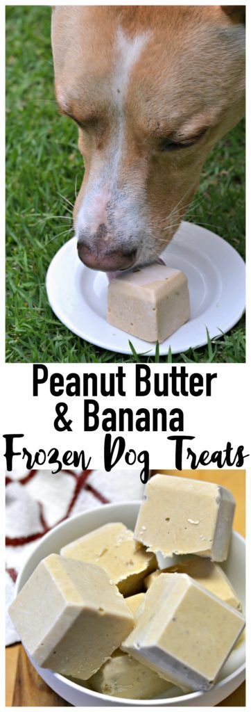 Peanut Butter and Banana Frozen Dog Treat