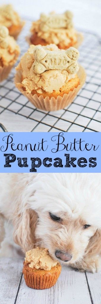 Peanut Butter Pupcakes