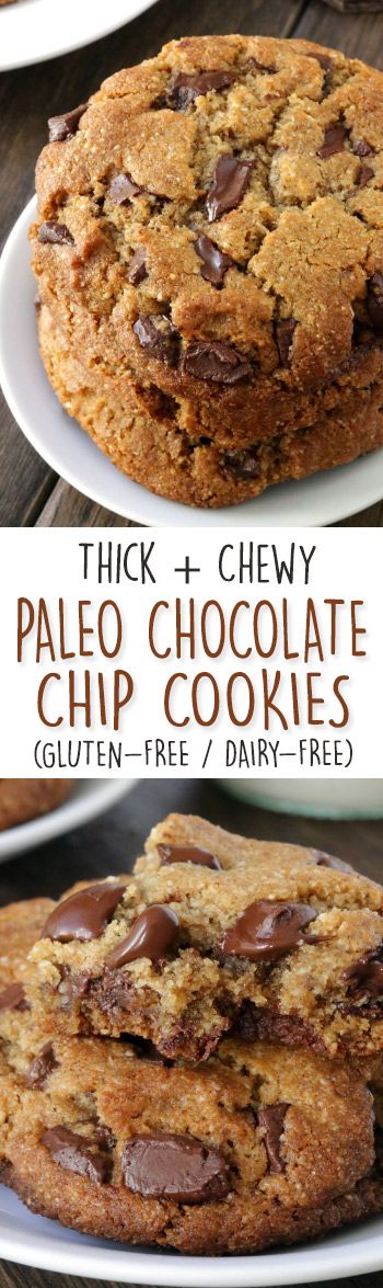 Perfect Paleo Chocolate Chip Cookies (vegan option, grain-free, gluten-free, dairy-free