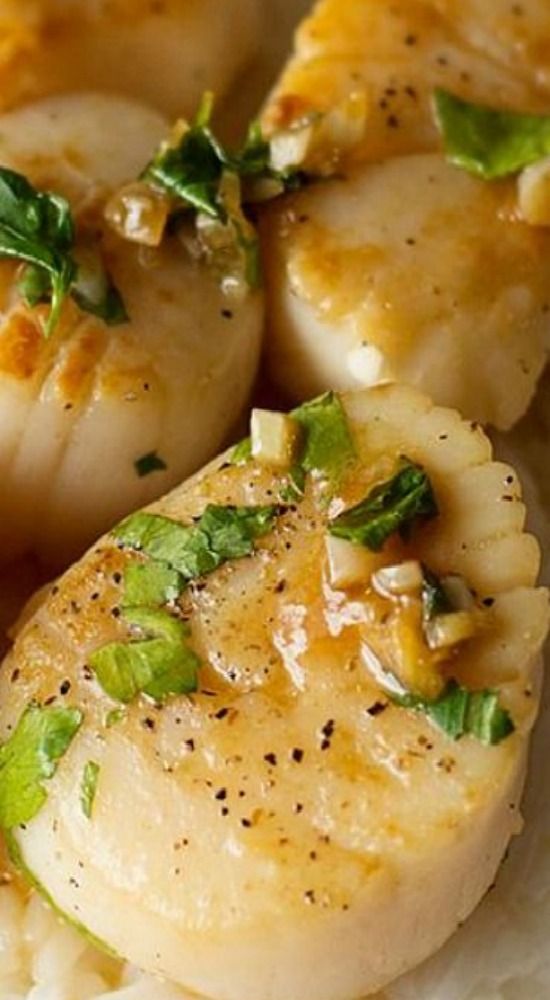 Portuguese Scallops