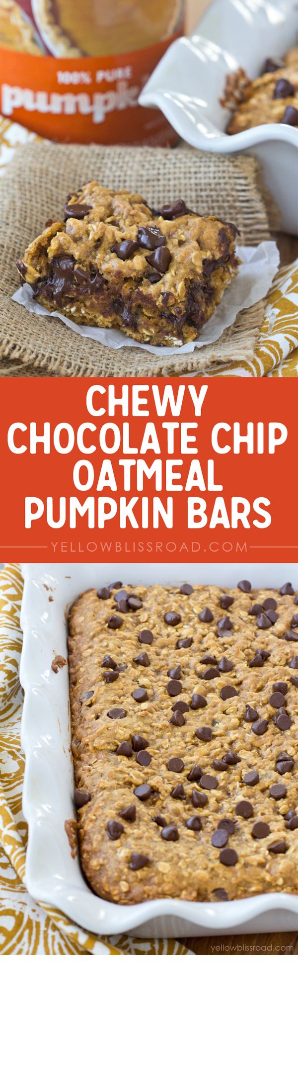 Pumpkin Oatmeal Chocolate Chip Bars