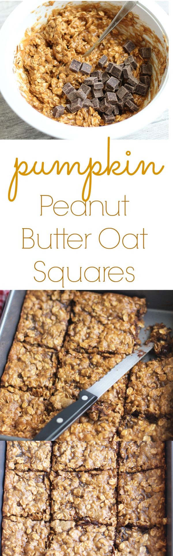 Pumpkin Peanut Butter Oat Squares