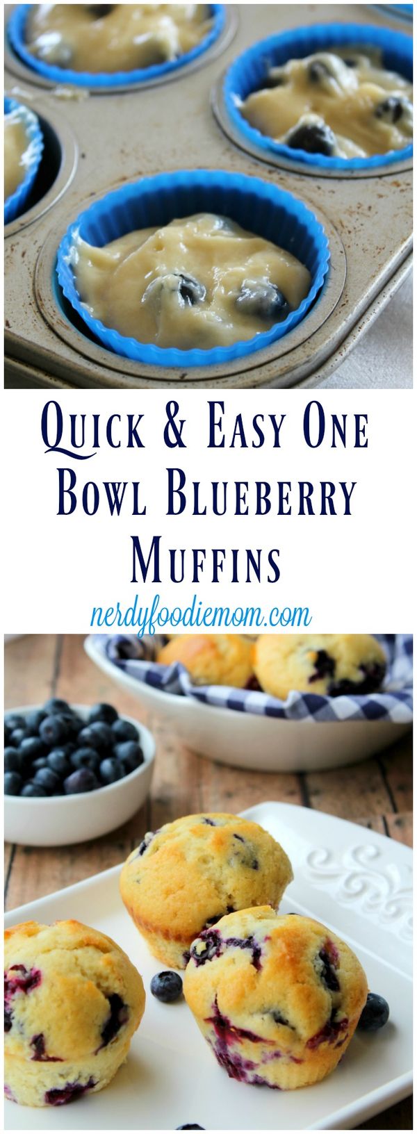 Quick & Easy One Bowl Blueberry Muffins